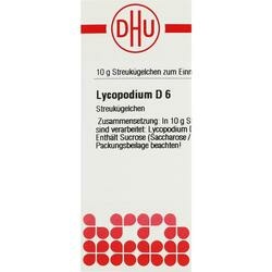 Abbildung klein von Lycopodium D 6