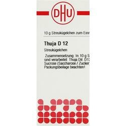 Abbildung klein von Thuja D12