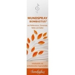 Abbildung klein von Mundspray