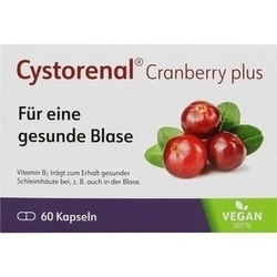 Abbildung klein von Cystorenal Cranberry Plus