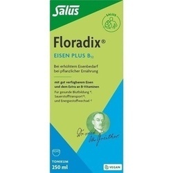 Abbildung klein von Floradix Eisen Plus B12 Vegan