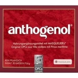 Abbildung klein von Anthogenol Masquelier Opc