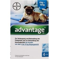 Abbildung klein von Advantage 100 Hund