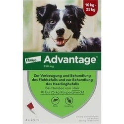 Abbildung klein von Advantage 250 Hund