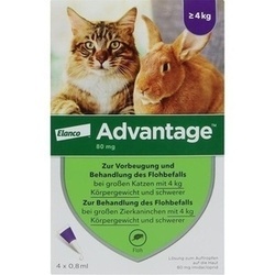 Abbildung klein von Advantage 80mg F.Gr. Katzen Und Gr. Zierkaninchen