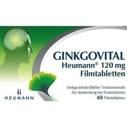 Abbildung klein von Ginkgovital Heumann 120 Mg Filmtabletten