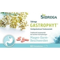 Abbildung klein von Sidroga Gastrophyt 250 Mg Filmtabletten