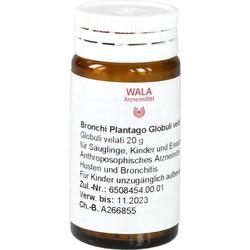 Abbildung klein von Bronchi Plantago Globuli Velati