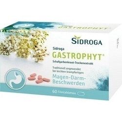 Abbildung klein von Sidroga Gastrophyt 250 Mg Filmtabletten