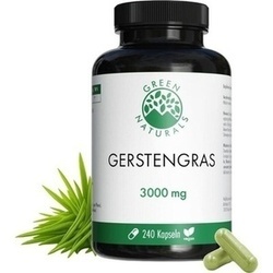 Abbildung klein von Green Naturals Gerstengras 3000 Mg Vegan