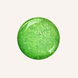 Abbildung klein von Rausch Anti-Pollution-Peeling-Shamp.M.Schwei.Apfel