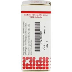 Abbildung klein von Arnica D12