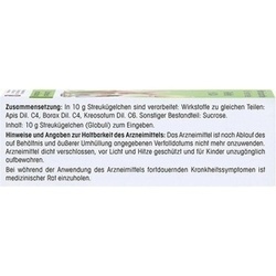 Abbildung klein von Revet H 24 Vet.