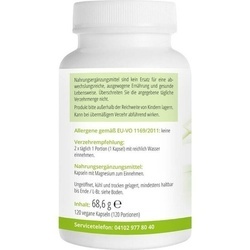 Abbildung klein von Magnesium Komplex