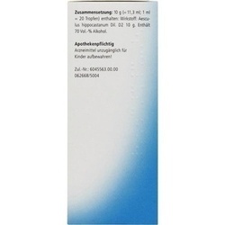 Abbildung klein von Aesculus Heel