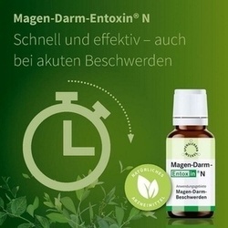 Abbildung klein von Magen Darm Entoxin N