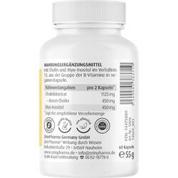 Abbildung klein von Cholin-Inositol 450/450mg Pro Veg. Kapseln