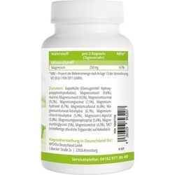 Abbildung klein von Magnesium Komplex