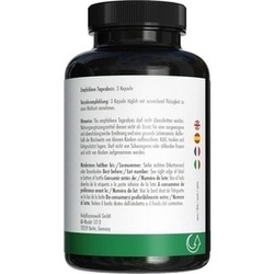 Abbildung klein von Green Naturals Msm 2100 Mg Vegan Hochdosiert