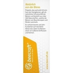 Abbildung klein von Beecraft Propolis Tropfen 55% Plus Echinacea