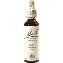 Abbildung von Bach-blüte Elm Tropfen