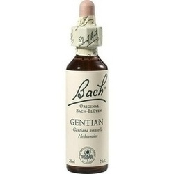 Abbildung von Bach-blüte Gentian Tropfen