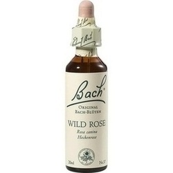 Abbildung von Bach-blüte Wild Rose Tropfen