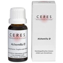 Abbildung klein von Ceres Alchemilla Urt.
