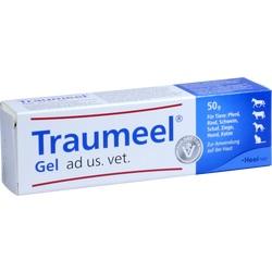 Abbildung von Traumeel Gel Ad Us. Vet. Gel