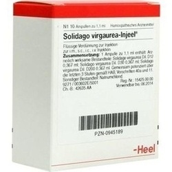 Abbildung klein von Solidago Virga Inj
