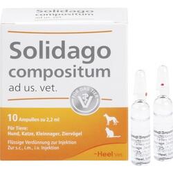 Abbildung von Solidago Compositum Ad Us.vet. Ampullen