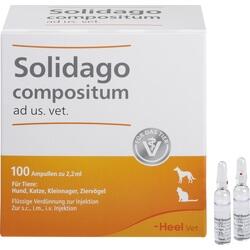 Abbildung klein von Solidago Compositum Ad Us.Vet.