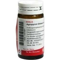 Abbildung klein von Agropyron Globuli Velati