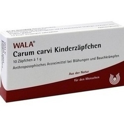 Abbildung klein von Carum Carvi Kinderzpfchen