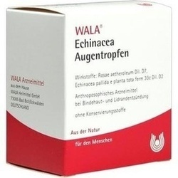 Abbildung klein von Echinacea Augentropfen