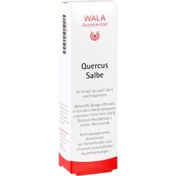 Abbildung klein von Quercus Salbe