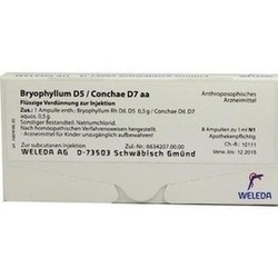 Abbildung klein von Bryophyllum D 5 Con D 7