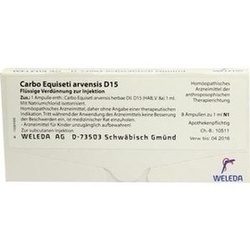 Abbildung klein von Carbo Equiseti Arv D15