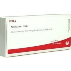 Abbildung klein von Nicotiana Comp