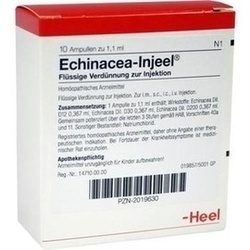 Abbildung klein von Echinacea Injeel