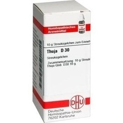 Abbildung klein von Thuja D30