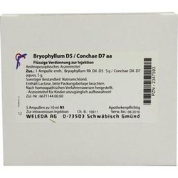 Abbildung klein von Bryophyllum D 5 Con D 7