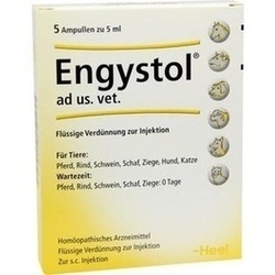 Abbildung von Engystol Ad Us Vet Ampullen