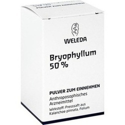 Abbildung klein von Bryophyllum 50%