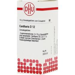 Abbildung klein von Cantharis D12