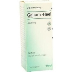 Abbildung klein von Galium Comp.-Heel Ad Us. Vet.