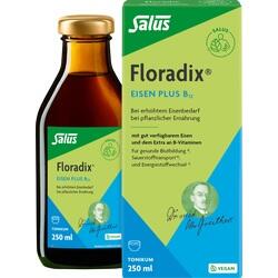 Abbildung klein von Floradix Eisen Plus B12 Vegan
