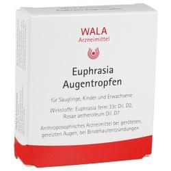 Abbildung von Euphrasia Augentropfen