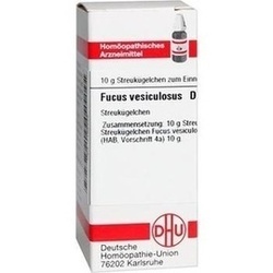 Abbildung klein von Fucus Vesiculosus D 2