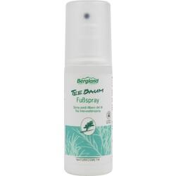Abbildung klein von Teebaum Fußspray